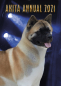 Preview: Akita Annual 2021 / JAI Annual 2021
